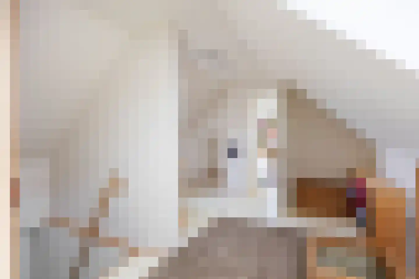 Dorpsstraat 7 Saaxumhuizen thumbnail 45