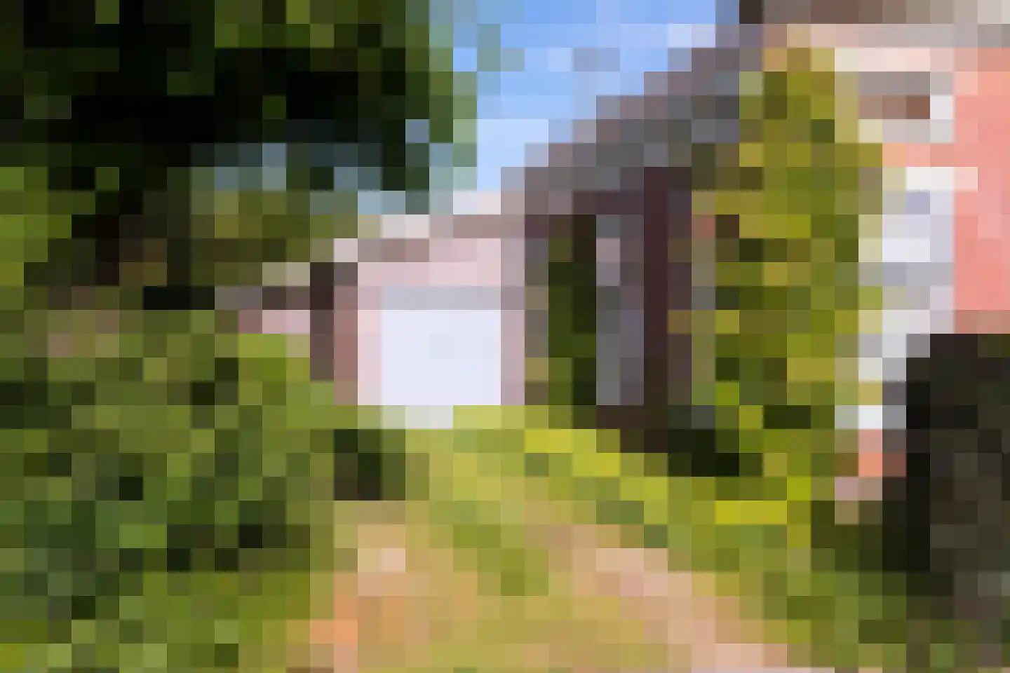 Dorpsstraat 7 Saaxumhuizen thumbnail 45