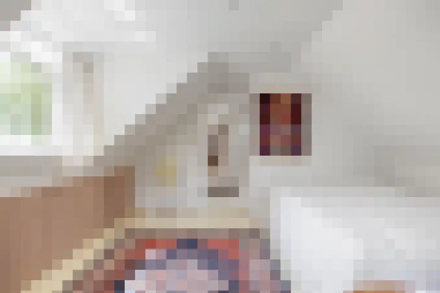 Dorpsstraat 7 Saaxumhuizen thumbnail 50