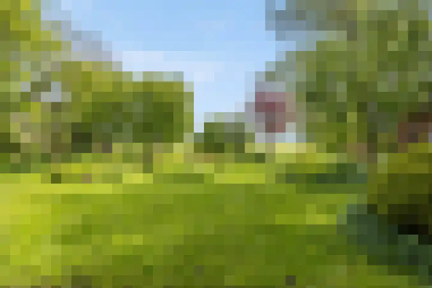 Dorpsstraat 7 Saaxumhuizen thumbnail 55