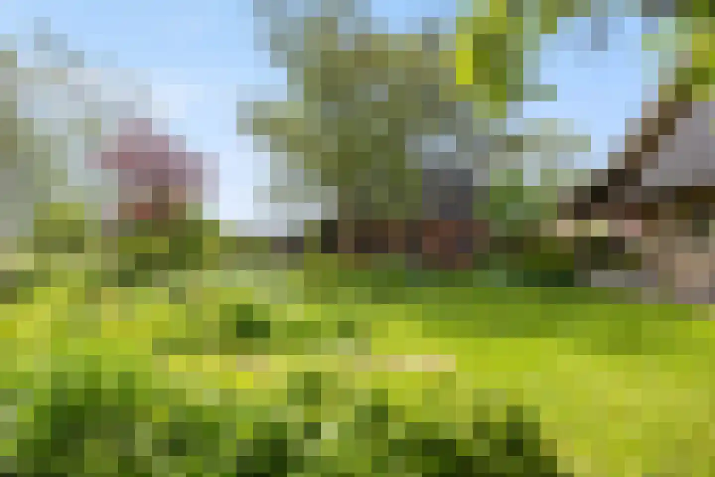 Dorpsstraat 7 Saaxumhuizen thumbnail 56