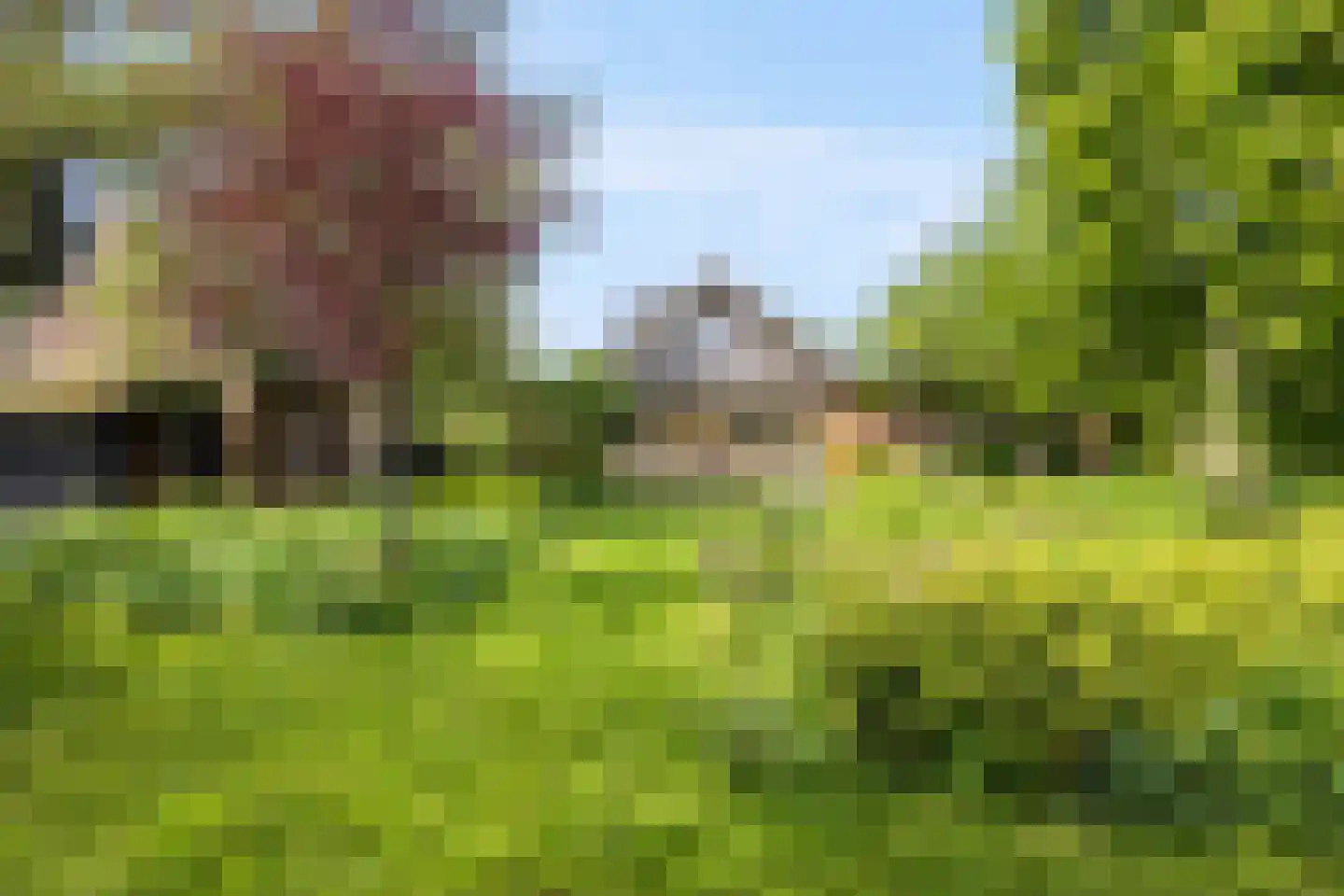 Dorpsstraat 7 Saaxumhuizen thumbnail 58