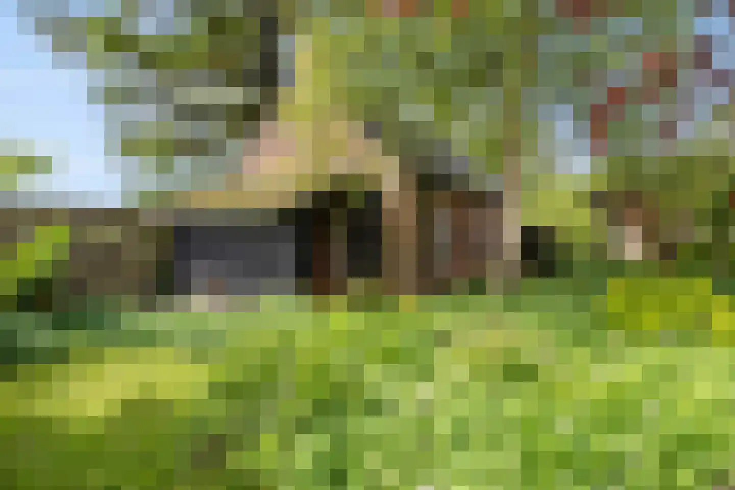 Dorpsstraat 7 Saaxumhuizen thumbnail 61