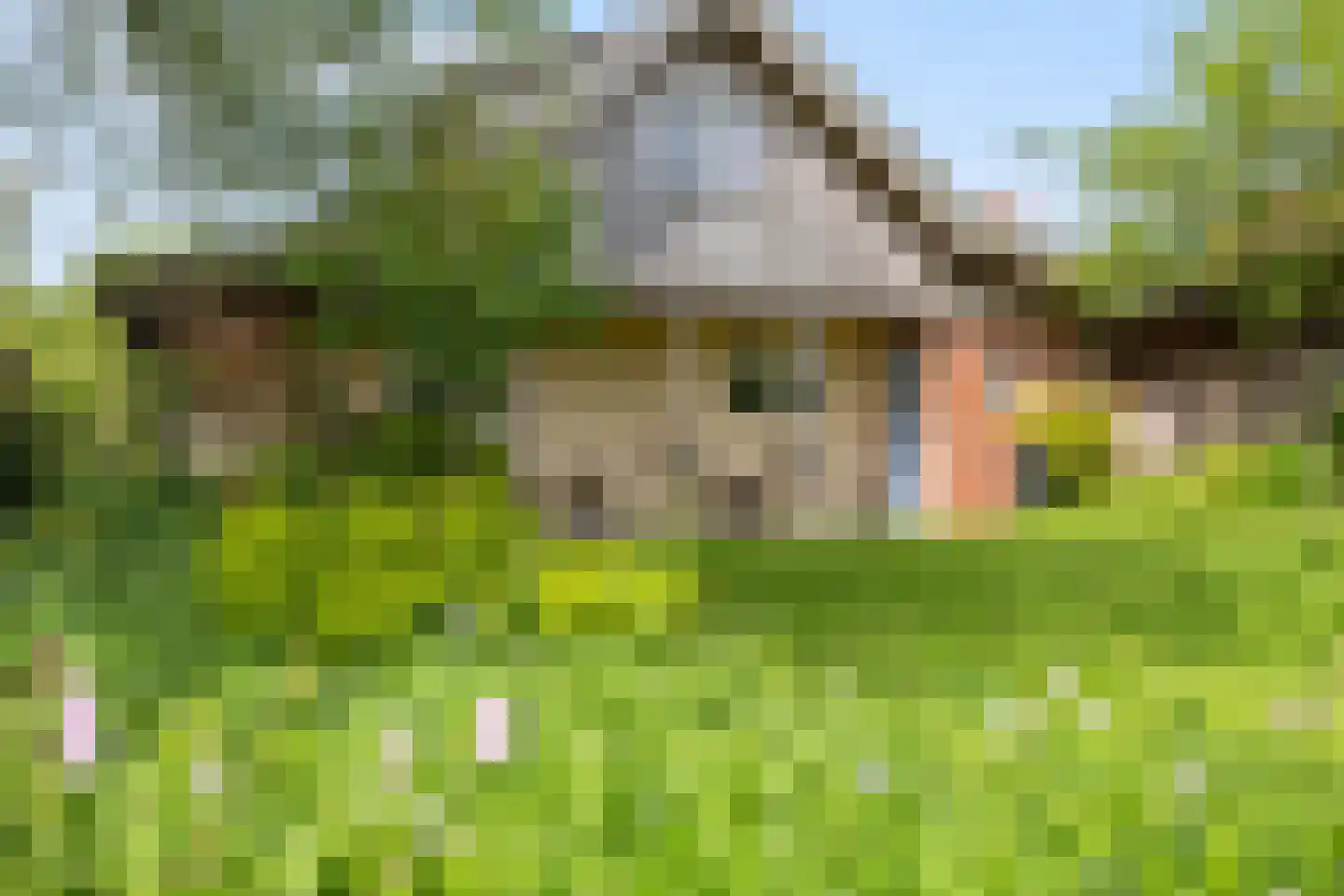 Dorpsstraat 7 Saaxumhuizen thumbnail 63
