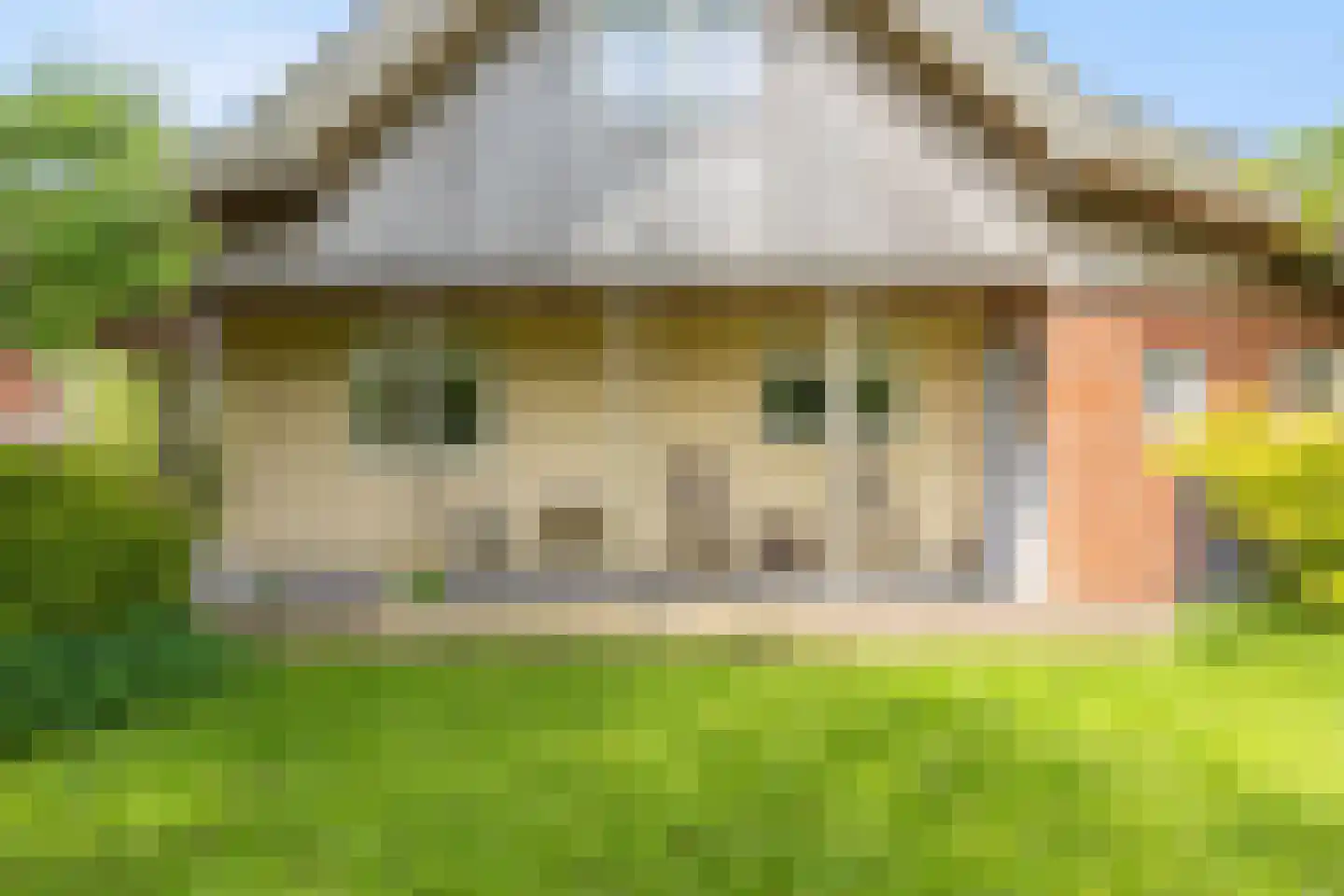 Dorpsstraat 7 Saaxumhuizen thumbnail 64