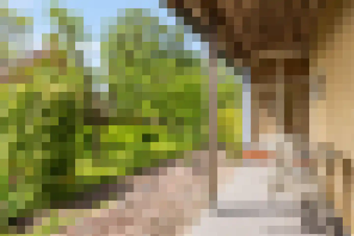Dorpsstraat 7 Saaxumhuizen thumbnail 68