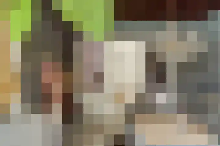 Dorpsstraat 7 Schoonrewoerd thumbnail 10