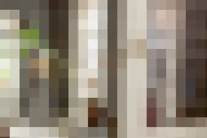 Dorpsstraat 7 Schoonrewoerd thumbnail 16