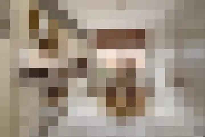 Dorpsstraat 7 Schoonrewoerd thumbnail 17