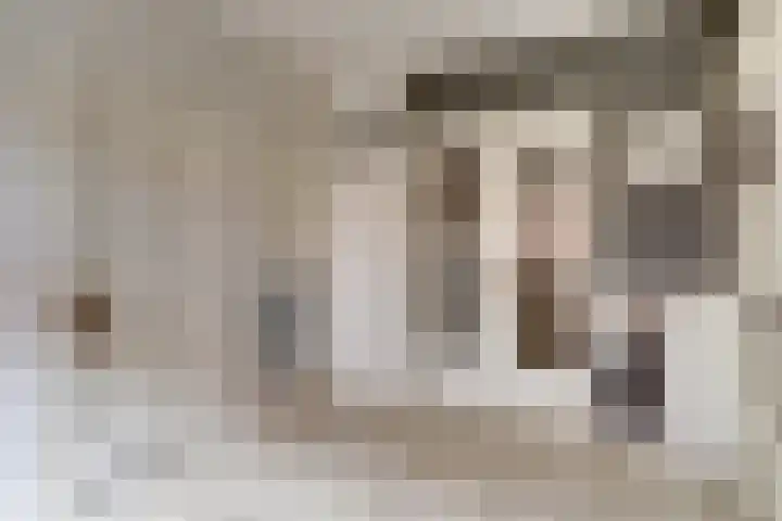 Dorpsstraat 7 Schoonrewoerd thumbnail 18