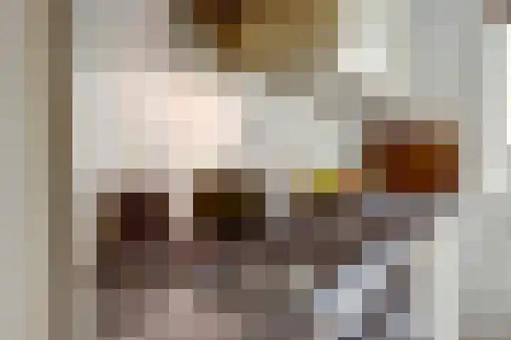 Dorpsstraat 7 Schoonrewoerd thumbnail 20