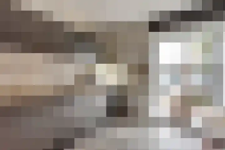 Dorpsstraat 7 Schoonrewoerd thumbnail 22