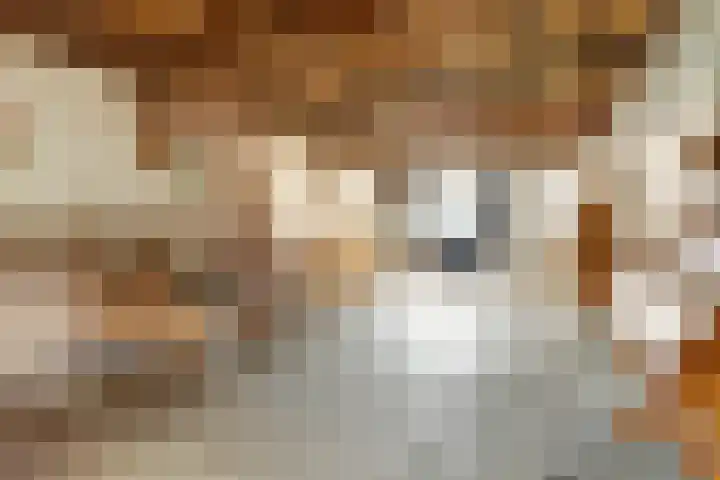 Dorpsstraat 7 Schoonrewoerd thumbnail 30