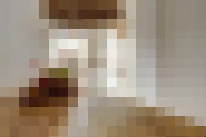 Dorpsstraat 7 Schoonrewoerd thumbnail 38