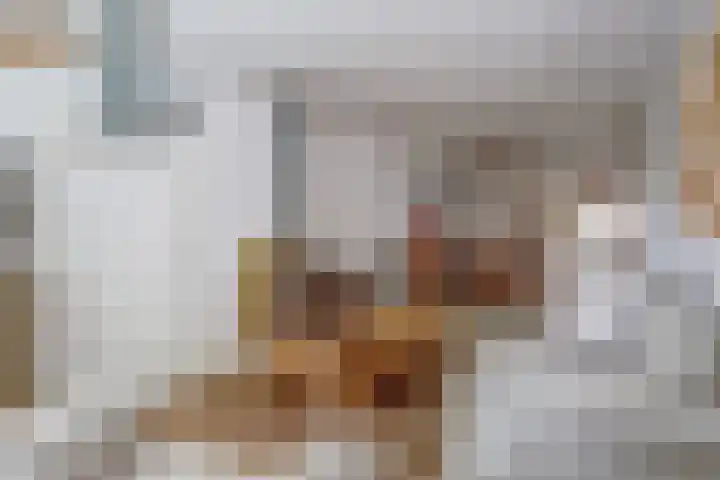 Dorpsstraat 7 Schoonrewoerd thumbnail 4