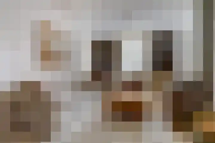 Dorpsstraat 7 Schoonrewoerd thumbnail 5