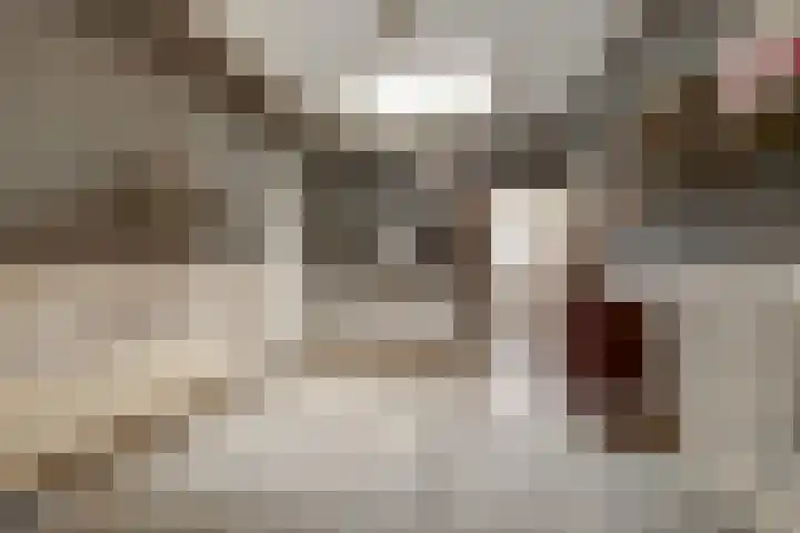 Dorpsstraat 7 Schoonrewoerd thumbnail 65