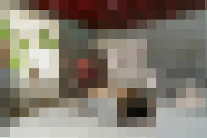 Dorpsstraat 7 Schoonrewoerd thumbnail 8
