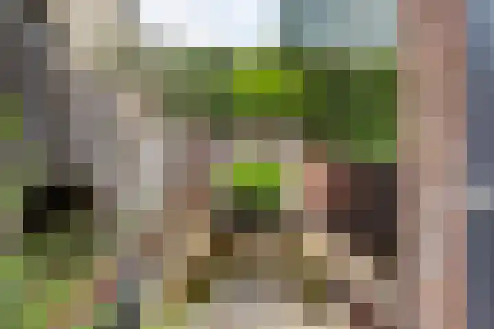 Dorpsstraat 7 Schoonrewoerd thumbnail 80