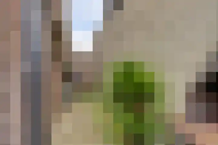 Dorpsstraat 7 Schoonrewoerd thumbnail 81