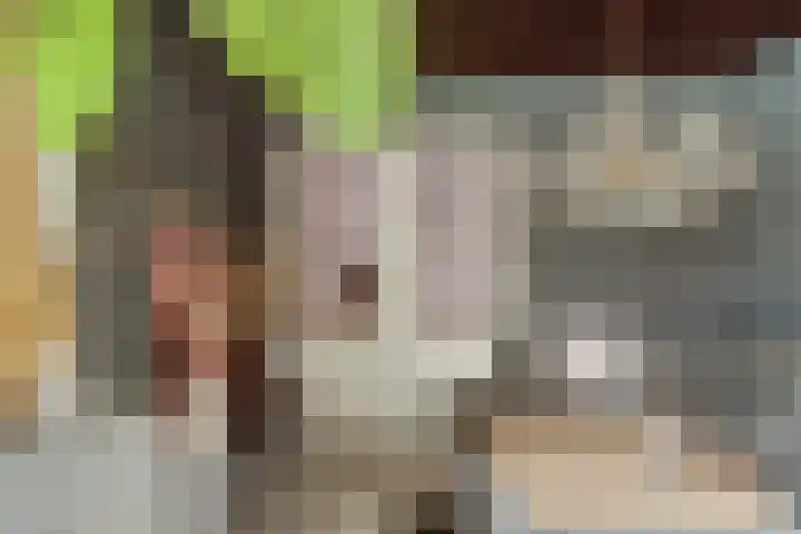 Dorpsstraat 7 Schoonrewoerd thumbnail 9