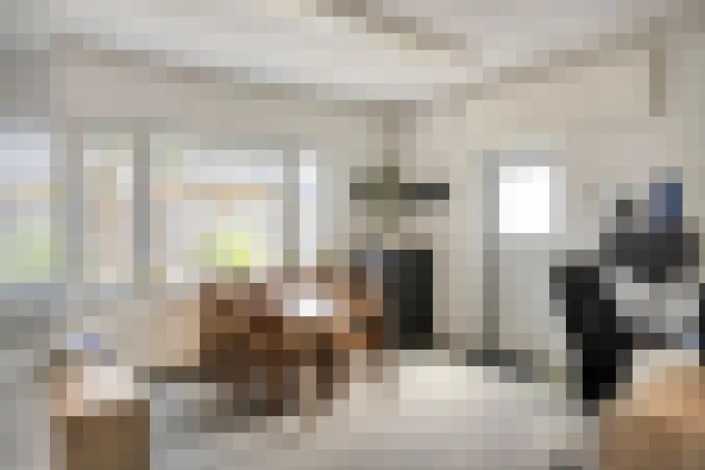 Dorpsstraat 7 Steenderen thumbnail 11