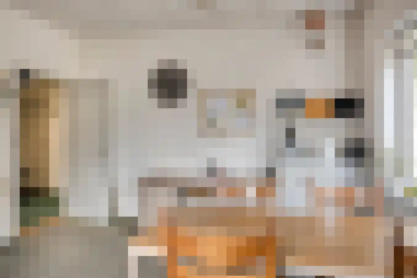Dorpsstraat 7 Steenderen thumbnail 12