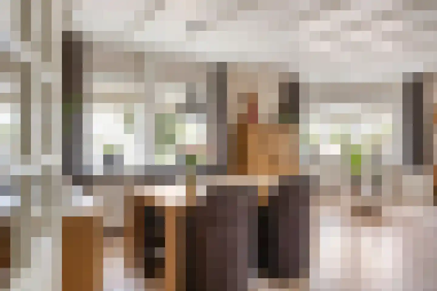 Dorpsstraat 7 Steenderen thumbnail 20