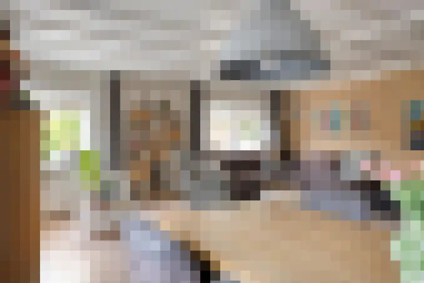 Dorpsstraat 7 Steenderen thumbnail 22