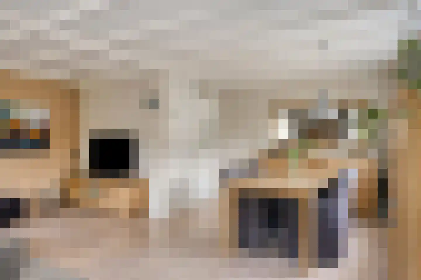 Dorpsstraat 7 Steenderen thumbnail 24