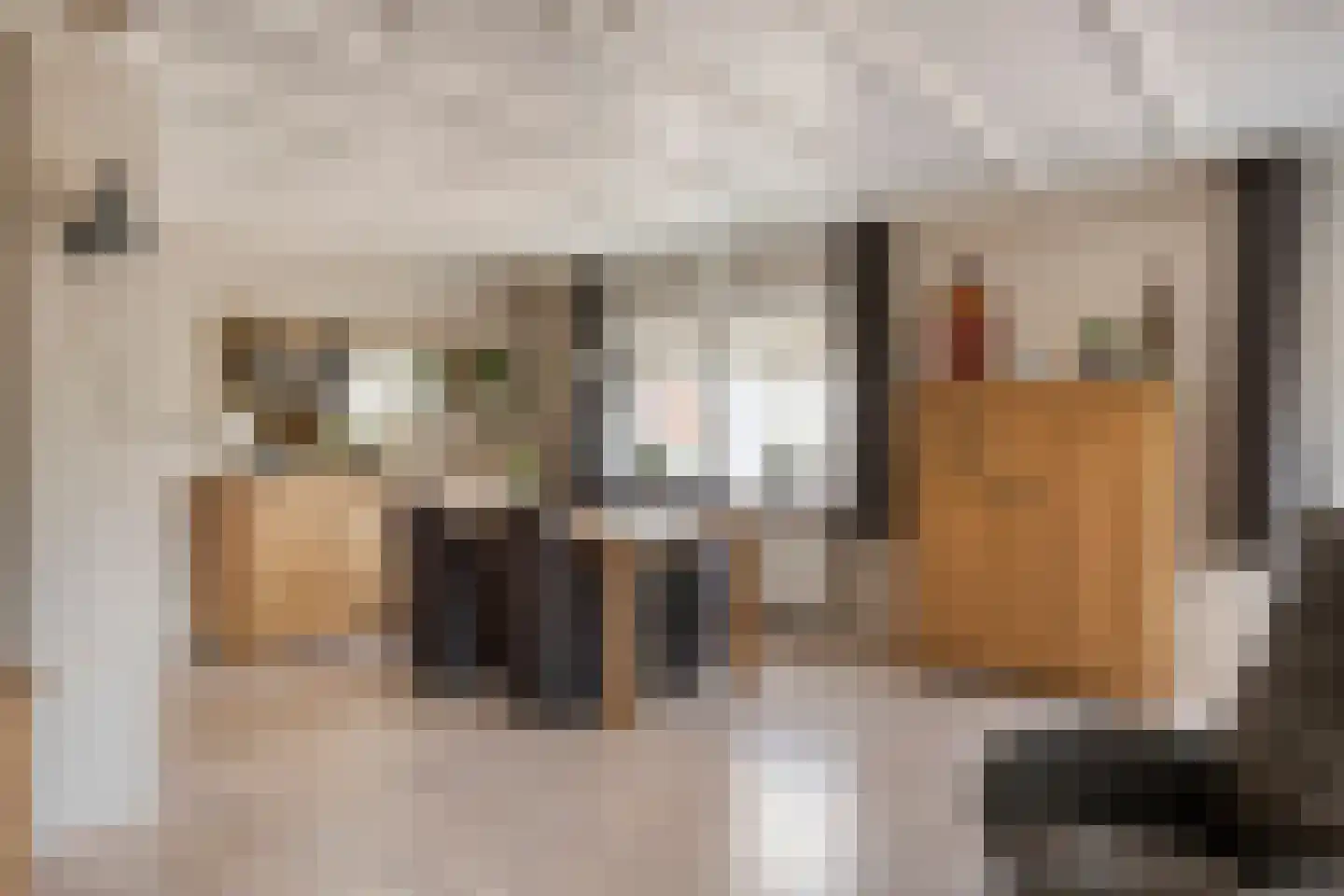 Dorpsstraat 7 Steenderen thumbnail 25