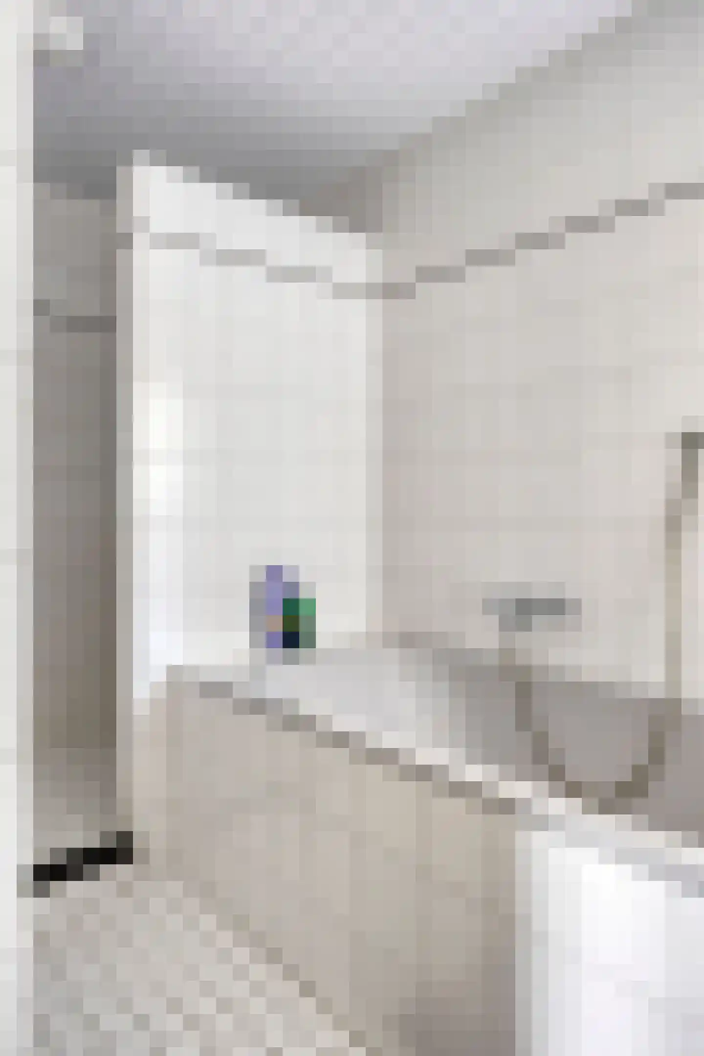 Dorpsstraat 7 Steenderen thumbnail 36