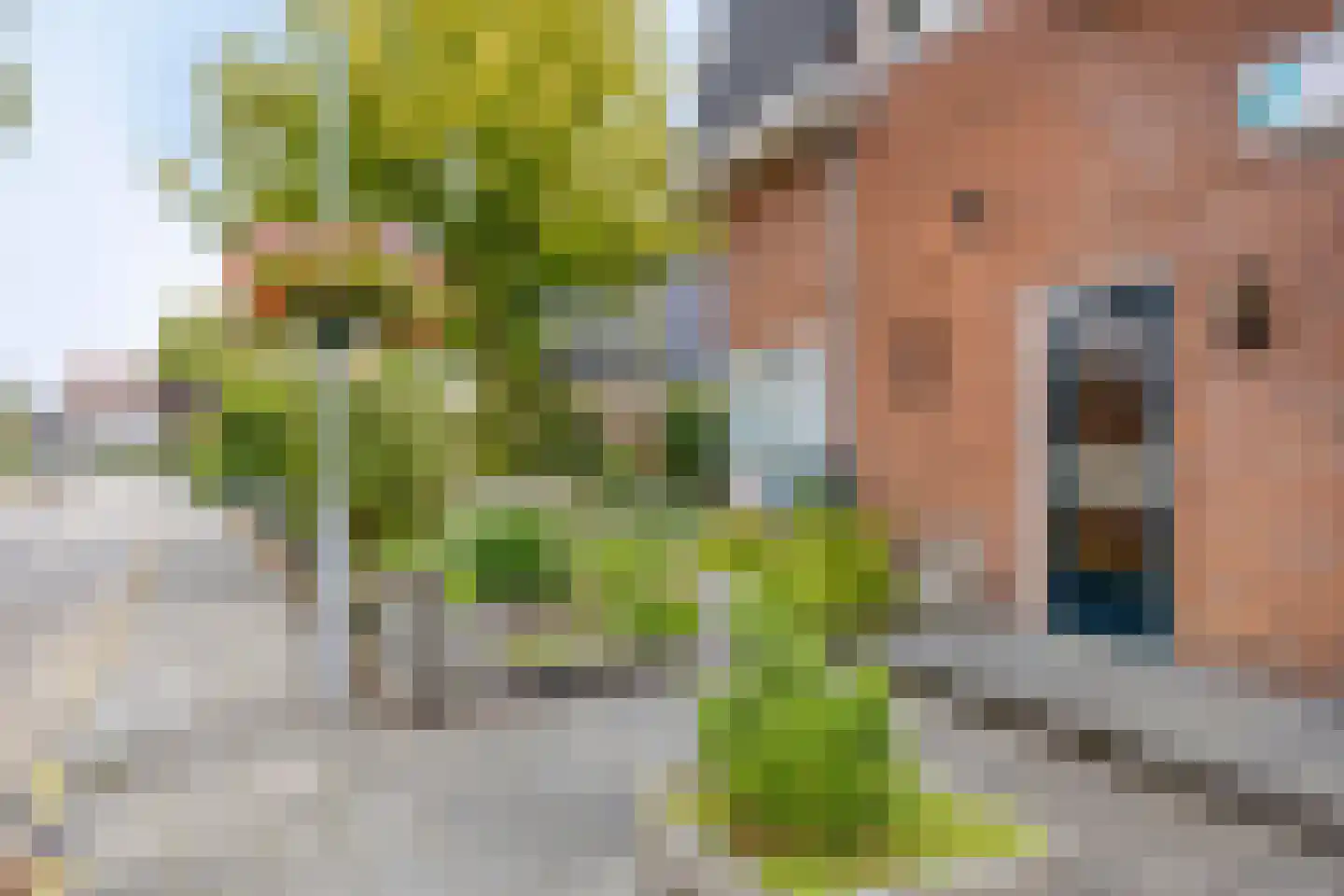 Dorpsstraat 7 Steenderen thumbnail 50