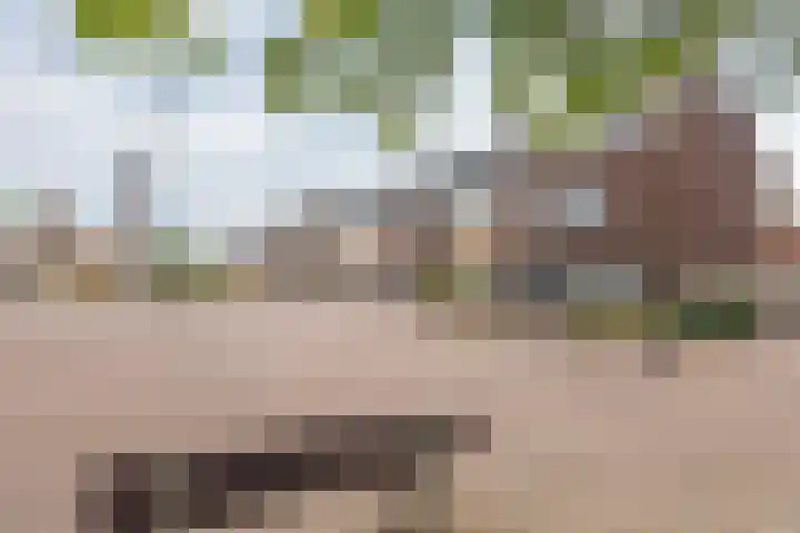 Dorpsstraat 7 Vuren thumbnail 31