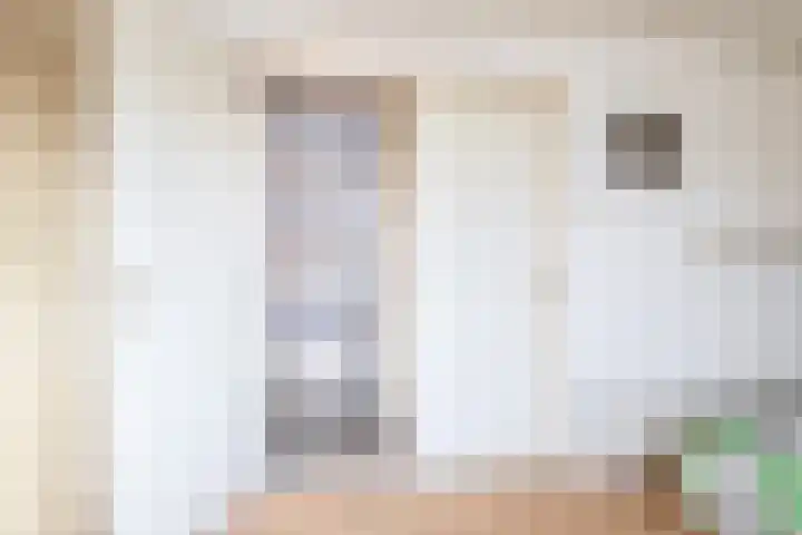 Dorpsstraat 7 Zevenhuizen thumbnail 21