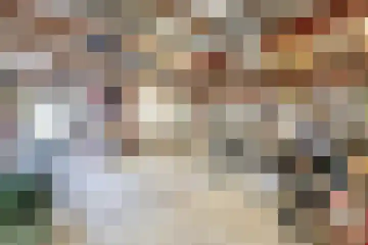 Dorpsstraat 7 Zevenhuizen thumbnail 31