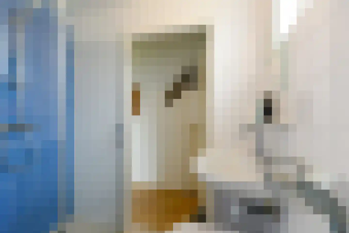 Dorpsstraat 7 Zorgvlied thumbnail 15