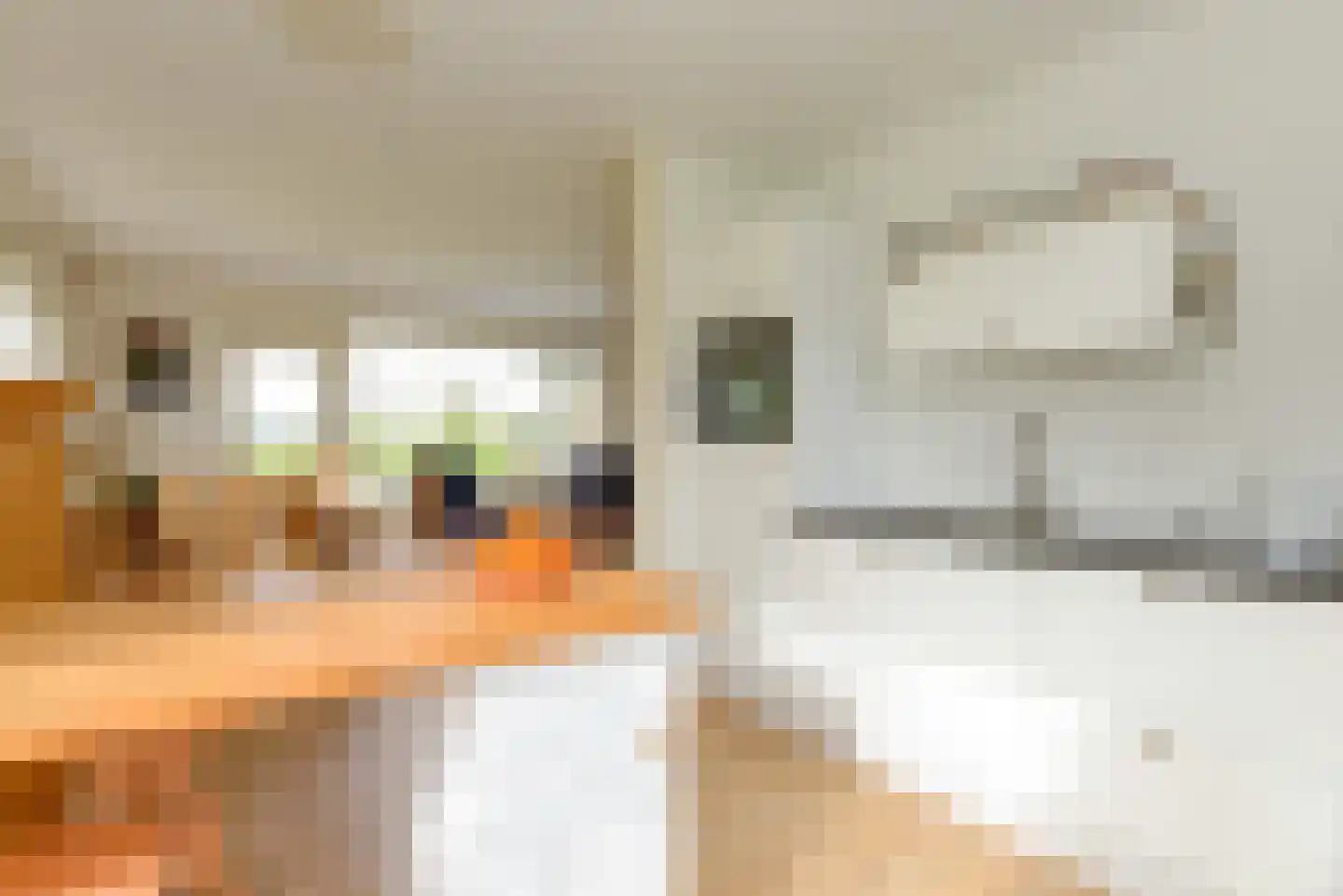 Dorpsstraat 7 Zorgvlied thumbnail 4