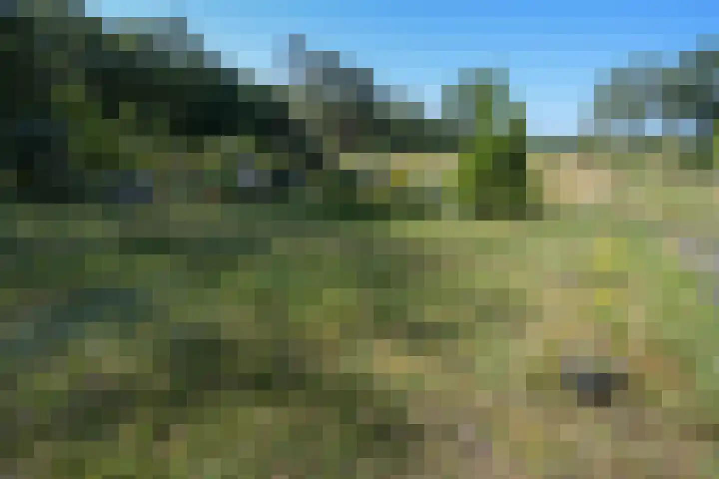Dorpsstraat 7 Zorgvlied thumbnail 43