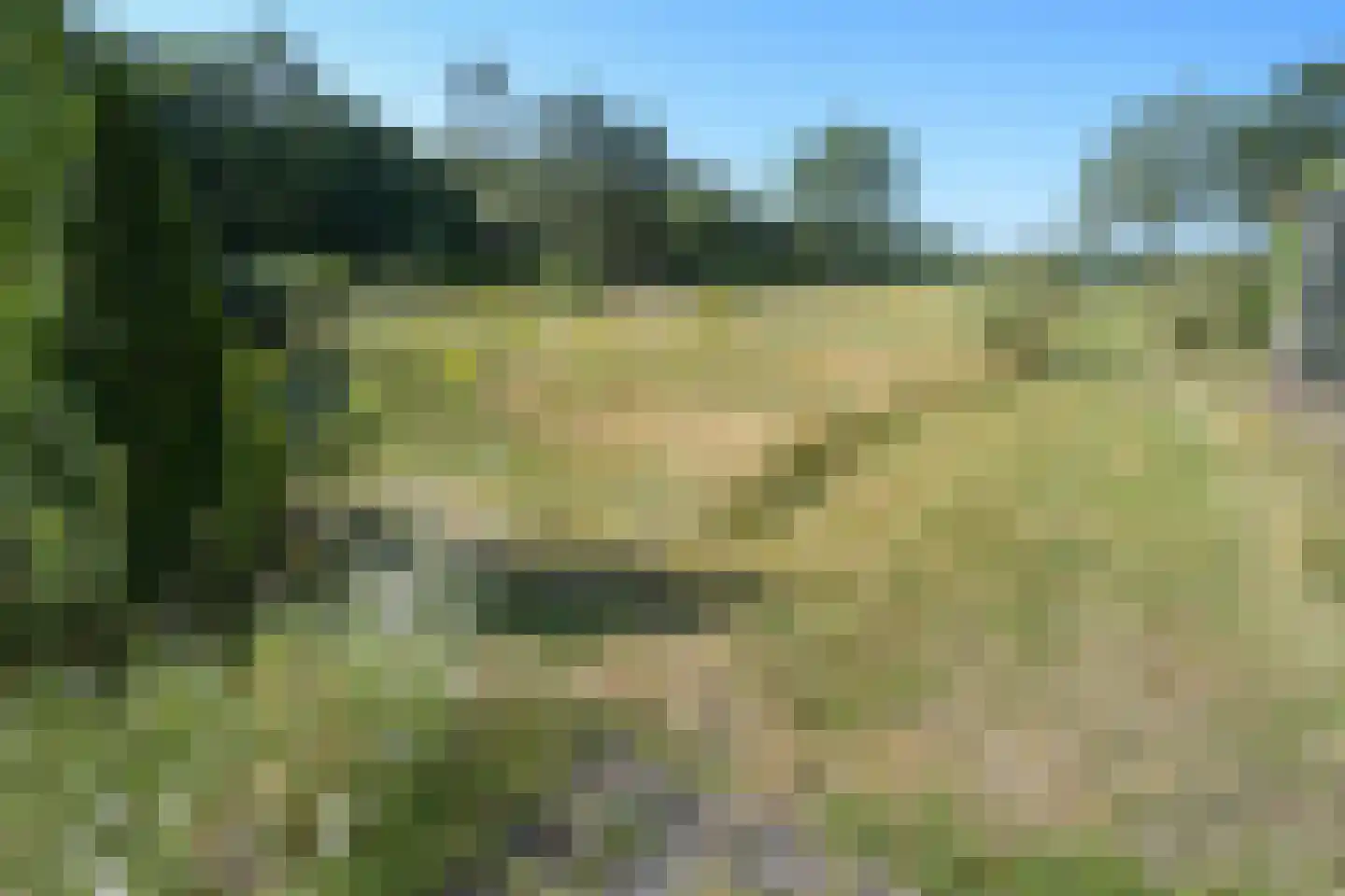 Dorpsstraat 7 Zorgvlied thumbnail 44
