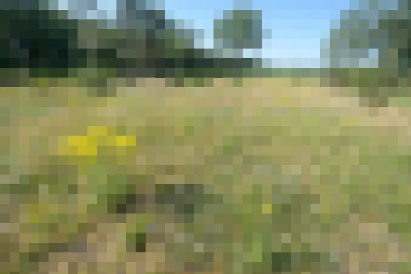 Dorpsstraat 7 Zorgvlied thumbnail 45