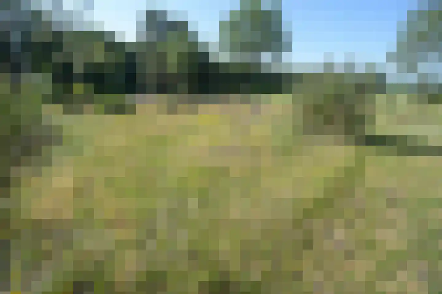 Dorpsstraat 7 Zorgvlied thumbnail 46