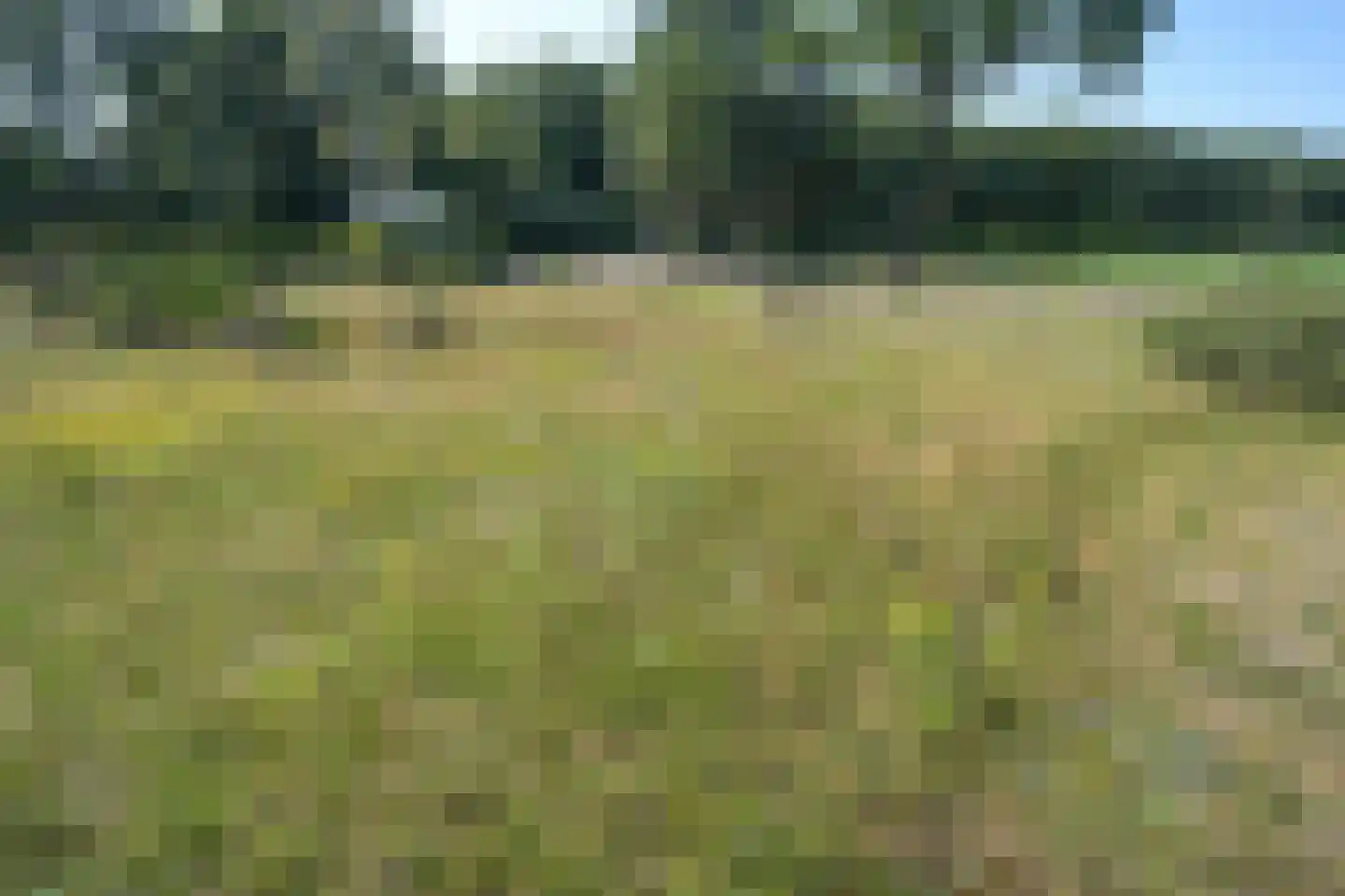 Dorpsstraat 7 Zorgvlied thumbnail 47