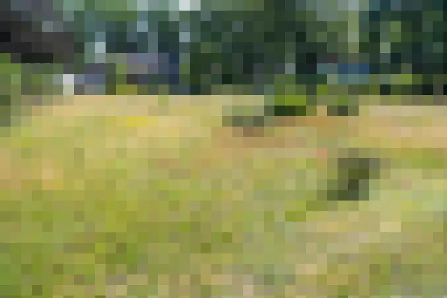 Dorpsstraat 7 Zorgvlied thumbnail 48