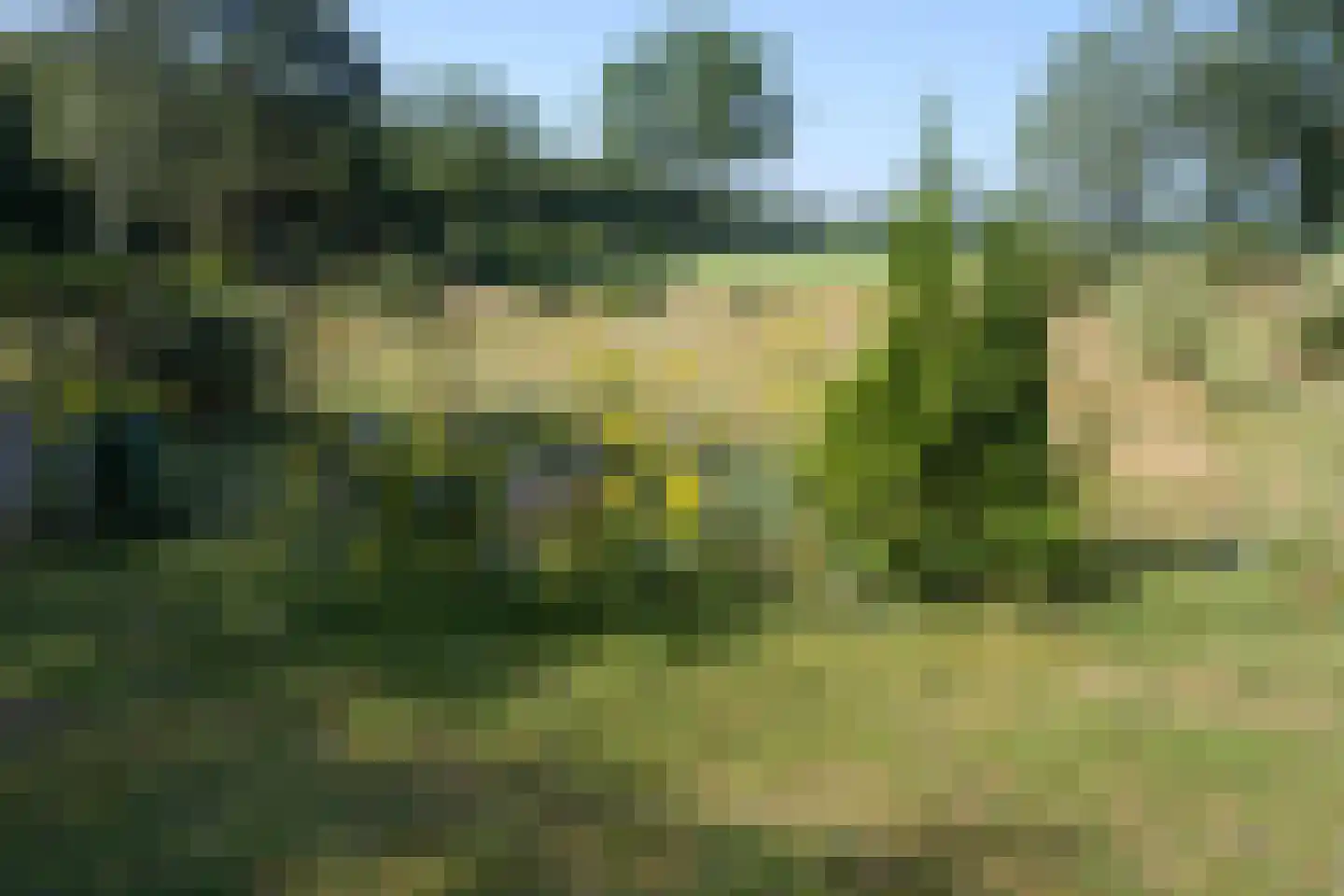 Dorpsstraat 7 Zorgvlied thumbnail 51
