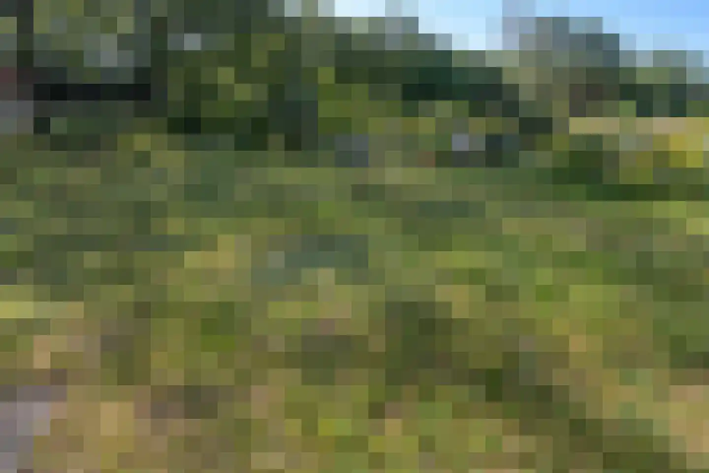 Dorpsstraat 7 Zorgvlied thumbnail 62
