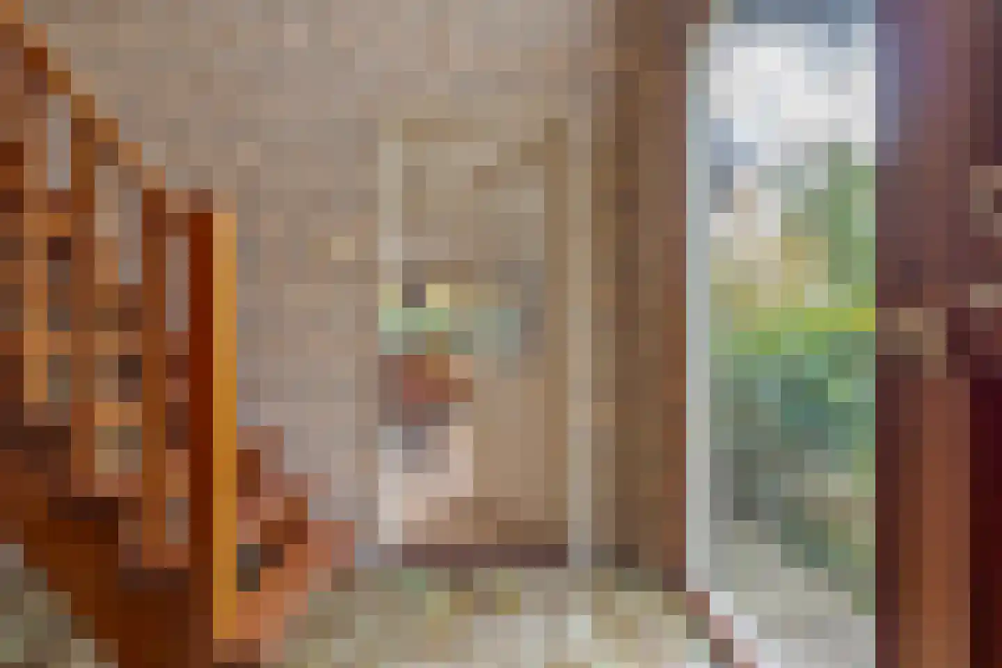 Dorpsstraat 70 a Koekange thumbnail 15