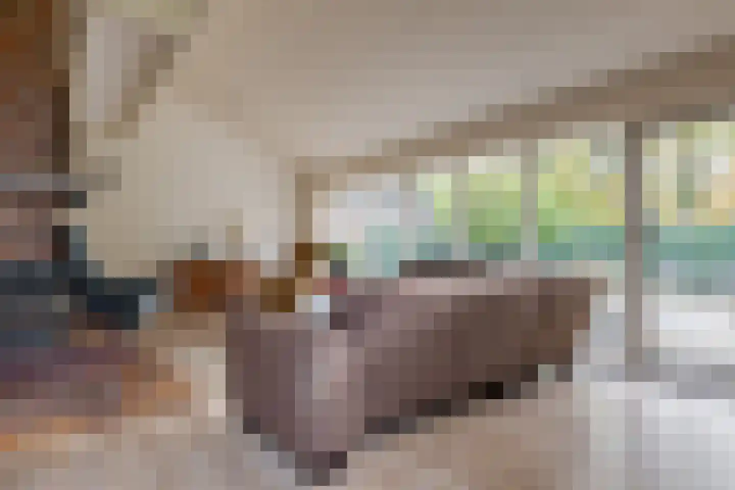 Dorpsstraat 70 a Koekange thumbnail 18