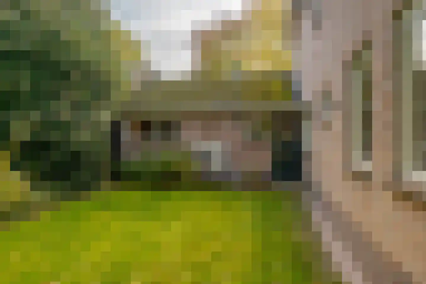 Dorpsstraat 70 a Koekange thumbnail 27
