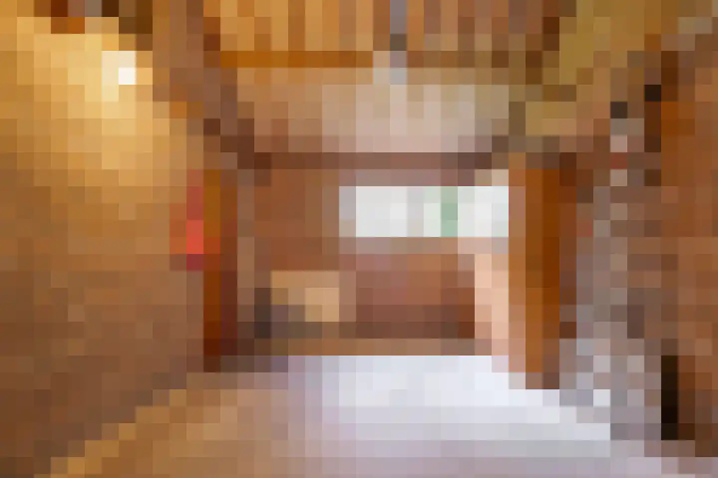 Dorpsstraat 70 a Koekange thumbnail 47